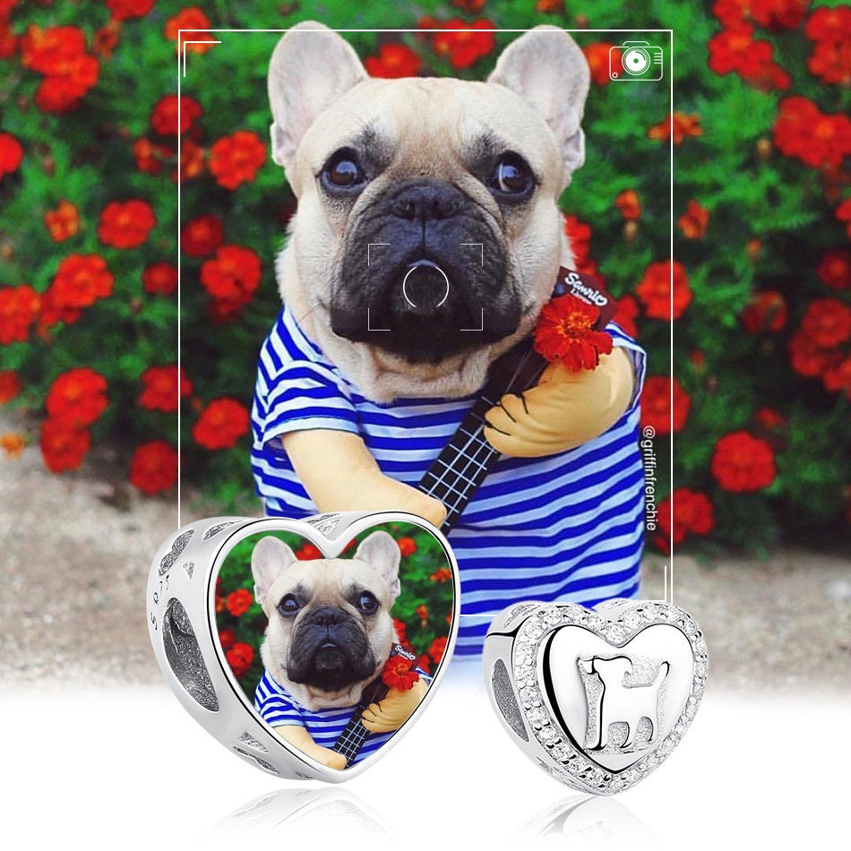 Custom Photo Charm of Bracelet,pet memorial, Fits Pandora Bracelet Necklace,, Photo Gift,Dog Charm,Pet lover gift PC-025