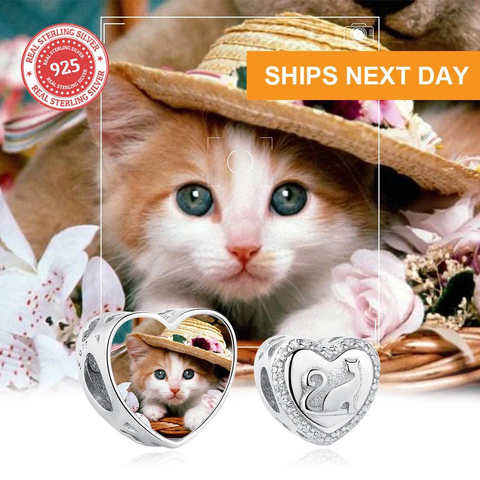 Custom Photo Charm of Bracelet, pet memorial,Fits Pandora Bracelet ,Individual Personalized Photo, Photo Gift,Cat Charm,Pet lovergift PC-031