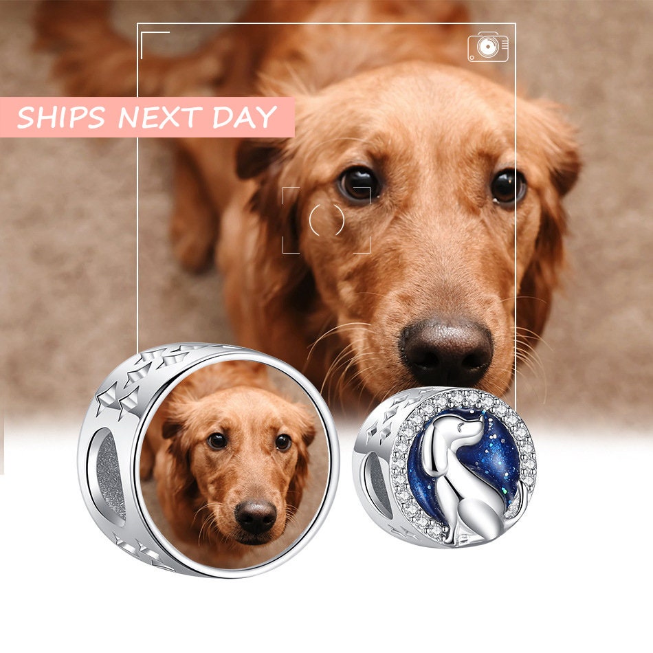 Custom Photo Charm of Bracelet,pet memorial, Fits Pandora Bracelet Necklace,, Photo Gift,Dog Charm,Pet lover gift PC-030